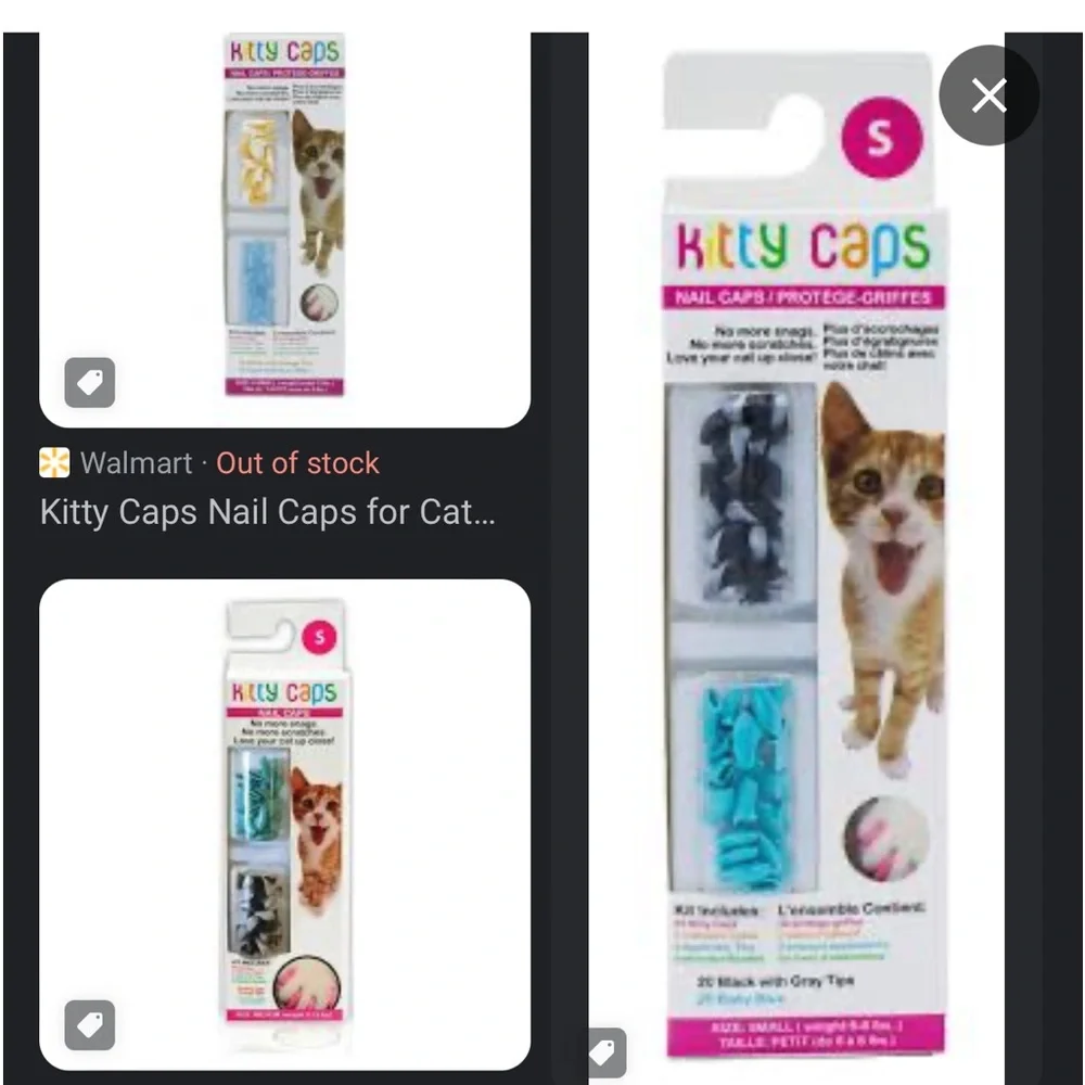 Two items for kitty home!